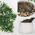 10' DILATATA Fake Bonsai Tree Zen Juniper Plant Tall Artificial Bonsai with White Ceramic Pot Decorated with Pebbles