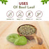 100% (8 Oz) Organic Way Basil Leaf Cut and Sifted | Non GMO, Kosher, USDA Certified Organic Basil Leaves | Dried