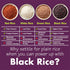 1.5 9.3g 4.5g 8.8 oz Pack 6 Eat Regal Black Rice | Ready to Eat Microwave in Minutes Superfood Grain | Always Fluffy