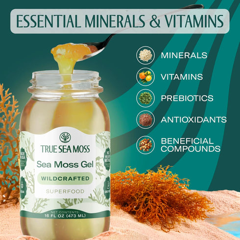 Pack 1 TrueSeaMoss Sea Moss Gel Made in USA Wildcrafted Seamoss & Jarred Vegetables Original, of (Labels may Vary)