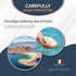 8 oz, 100% 90+ 30% All Goods Products Mineral Sea Salt Fine Grain, Natural, Hand-Harvested, Loaded with Essential