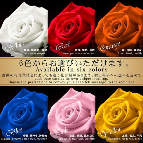 RiRo preserved flower, a single rose, red, gift, celebration, anniversary, birthday, arrangement, flowergift