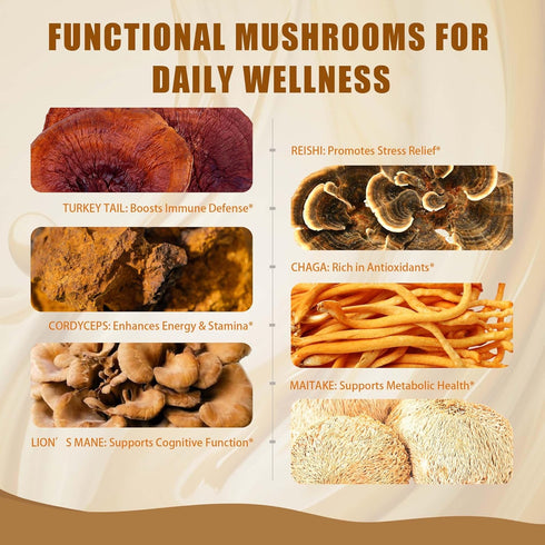 6 Immunity 6.35 Oz Mushroom Coffee Creamer, Caramel Creamer, Probiotics, MCT Powder and Mushrooms | Lion's Mane, Turkey