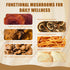 6 Immunity 6.35 Oz Mushroom Coffee Creamer, Caramel Creamer, Probiotics, MCT Powder and Mushrooms | Lion's Mane, Turkey
