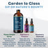 75) Set 3 12 Bluestem Botanicals, Ripple Spritz (French Gin Mixer Gift for Craft Cocktails, Organic Herbal Extract
