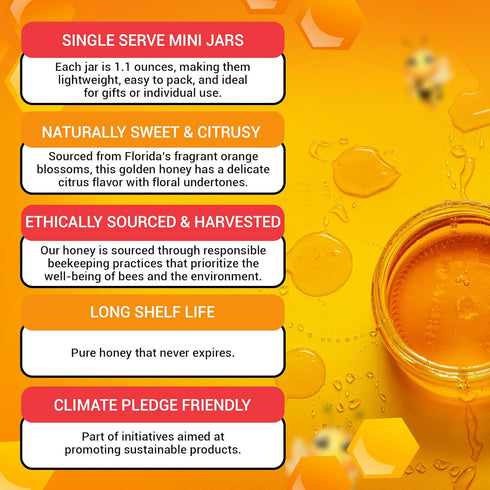 4 1.1oz Bee Natural Orange Blossom Honey | Kosher Certified | Raw and Unfiltered | Local Florida Honey | Perfect