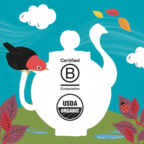 1 Pack, 80 Clipper Tea, English Breakfast Assam Blend, Fairtrade, Organic, Plant-Based, Caffeinated British Tea