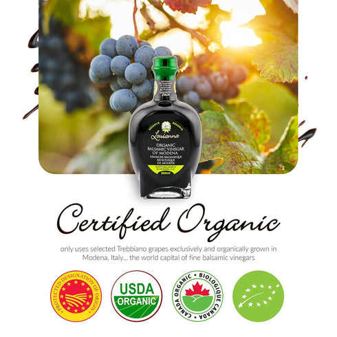 250 mL Louianna - Organic Balsamic Vinegar of Modena, High Polyphenol Aged Balsamic Vinegar, Aromatic Vinegar Made
