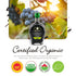 250 mL Louianna - Organic Balsamic Vinegar of Modena, High Polyphenol Aged Balsamic Vinegar, Aromatic Vinegar Made