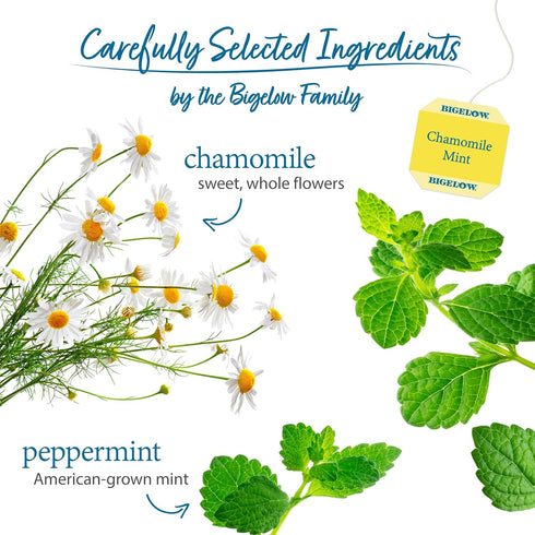 20 Count (Pack 6), 120 Bigelow Tea Chamomile Mint Herbal Tea, Caffeine Free, Box of Total Tea Bags