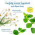 20 Count (Pack 6), 120 Bigelow Tea Chamomile Mint Herbal Tea, Caffeine Free, Box of Total Tea Bags