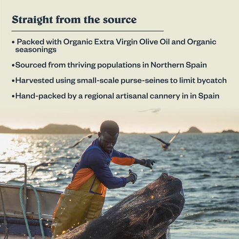 22g 4.2 (Pack 5) Patagonia Provisions Spicy White Anchovies | Responsibly Sourced in Spain | Protein & Gluten Free |