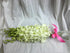 10 eflowerwholesale - Premium Cut Orchids (White stems Orchids) Gift for Graduation, Birthday, Sympathy, Anniversary