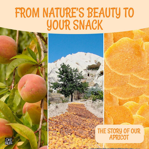 1 lb Packed Oh! Nuts Dried Apricot Luscious Natural - - Dried Fruit Discs - Sweetened Thin Apricot Slices - Dehydrated