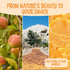 1 lb Packed Oh! Nuts Dried Apricot Luscious Natural - - Dried Fruit Discs - Sweetened Thin Apricot Slices - Dehydrated