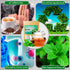 TeaDreamTea Peppermint Tea Bag - Herbal Mint Tea Bags - Aromatic & Caffeine Free Bulk Tea (100 Teabags)