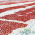 Packed, 3.17 oz Pure Anatolia Organic Sun-Dried Tomatoes Halves Cut Dry No Oil Added, Unsulfured, No Preservatives