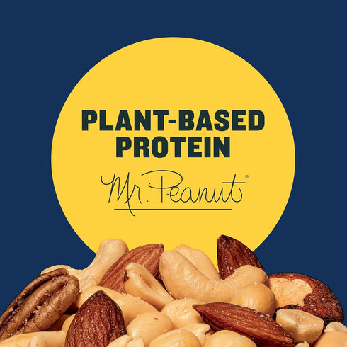10.3oz (1 PLANTERS Salted Mixed Nuts, Party Snacks, Plant-Based Protein Canister)