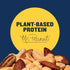 10.3oz (1 PLANTERS Salted Mixed Nuts, Party Snacks, Plant-Based Protein Canister)