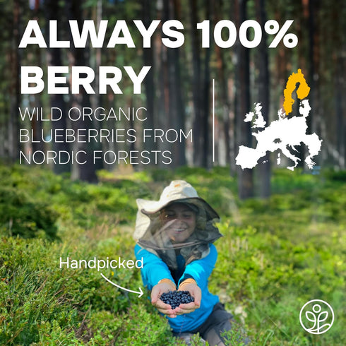 4 Frozen Bilberry Organic Blueberries Fresh Freeze Dried Fruit Ounce Bag - Made From Wild Dried Blueberries No Sugar