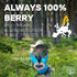 4 Frozen Bilberry Organic Blueberries Fresh Freeze Dried Fruit Ounce Bag - Made From Wild Dried Blueberries No Sugar