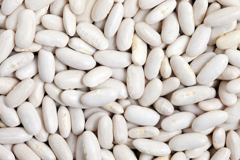 Hunza Natural Foods (2 lbs) Hunza Organic Great Northern Beans