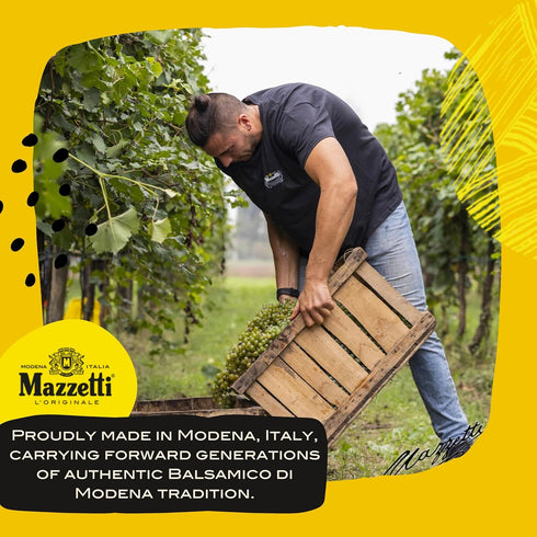 8.45 Oz, Mazzetti Balsamic Vinegar of Modena PGI, Fl Versatile, Light & Zesty, Perfect for Salad Dressings