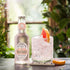6.7 Oz (Pack 12) Fentimans Sparkling Pink Grapefruit Tonic Water - Grapefruit Sparkling Water, Craft Soda, Mixer, All