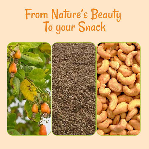 1 lb 100% Oh! Nuts Jumbo Raw Cashew - Whole Unsalted Cashews - Bulk Bag - Natural - Raw Cashews for Snacking & Baking