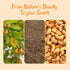 1 lb 100% Oh! Nuts Jumbo Raw Cashew - Whole Unsalted Cashews - Bulk Bag - Natural - Raw Cashews for Snacking & Baking