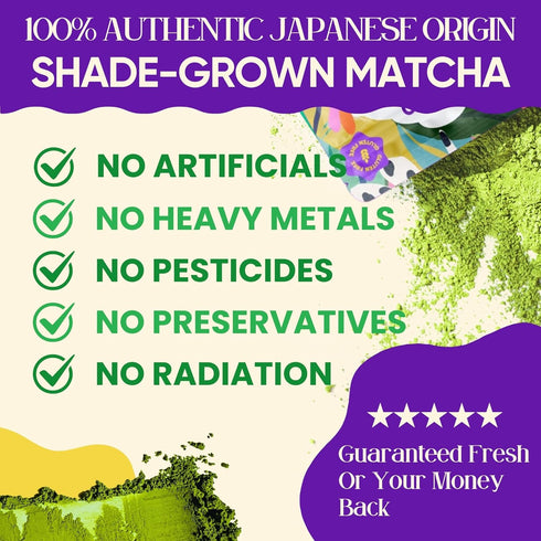 150g (25 70mg Mushroom Matcha servings, Caffeine, Zero Sugar) with Lions Mane, Cordyceps, Reishi, Chaga | Adaptogenic