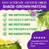 150g (25 70mg Mushroom Matcha servings, Caffeine, Zero Sugar) with Lions Mane, Cordyceps, Reishi, Chaga | Adaptogenic