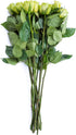 Flower Explosion 12 Stems - Fresh Cut Limbo Green Rose Bouquet from