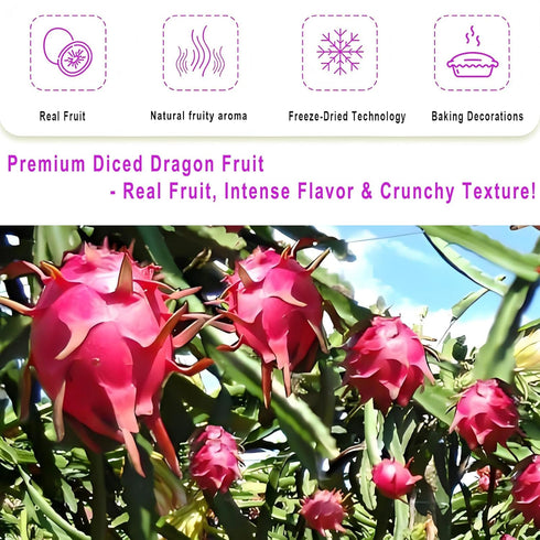WZQLAOYS 220g/7.76oz 1 Freeze-dried Dragon Fruit, Freeze Dried Fruit, with Ingredients,No Sugar Added, Dragonfruits