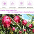 WZQLAOYS 220g/7.76oz 1 Freeze-dried Dragon Fruit, Freeze Dried Fruit, with Ingredients,No Sugar Added, Dragonfruits