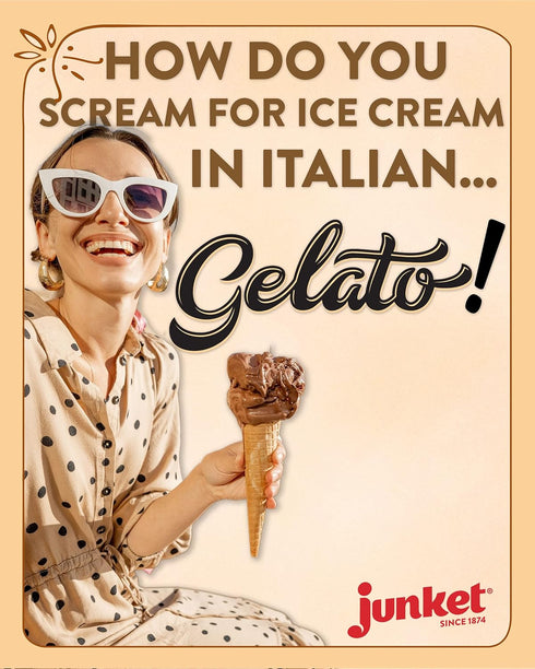 4 1 Pack 6) Junket Gelato Mix: Stracciatella (Vanilla Chocolate), Dark Chocolate, & Strawberry Cheesecake, Homemade