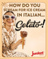 4 1 Pack 6) Junket Gelato Mix: Stracciatella (Vanilla Chocolate), Dark Chocolate, & Strawberry Cheesecake, Homemade