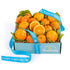 Happy Birthday California Citrus Duet Gift Box