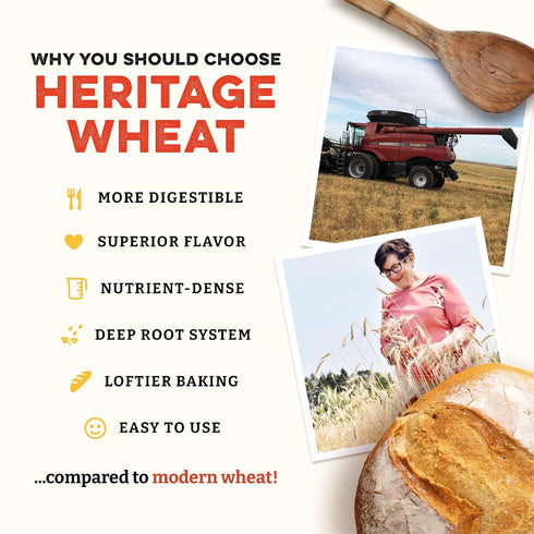 (80 (Pack 2)) Sunrise Flour Mill Heritage Organic Bread Flour Blend & Whole Wheat Flour Ounce of - Non-GMO, Kosher
