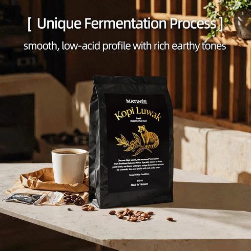 16oz 454 MATINE Wild Kopi Luwak Coffee Beans, Medium Roast, Whole Bean Coffee, Sustainably Sourced From Vietnam, /