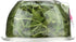 organicgirl 5 Oz Baby Arugula Greens, Clamshell