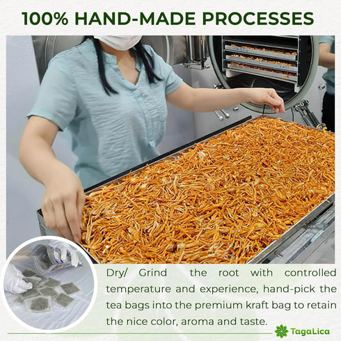 135 100% Tagalica, Premium Dandelion Root Tea Bags, Natural & Pure from Dandelion Root, Eco-Conscious Tea Bags, Herbal