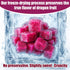 Nahasahr 7oz 100% Freeze Dried Dragon Fruit Pieces - Natural Crispy Dry Fruit Flakes, No Gluten, Dried Pitaya