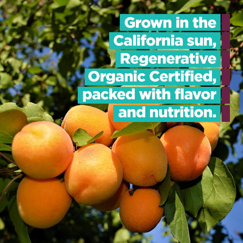 (1 lb) Bella Viva Orchards Organic Dried California Apricots - No Sugar Added, Dried Fruit Healthy Snack