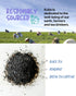 (155 20 Packaging High Caffeine Tea mg) - Kubo Tea: Organic Earl Grey Black Tea Bags for Clean Energy & Focus | Healthy