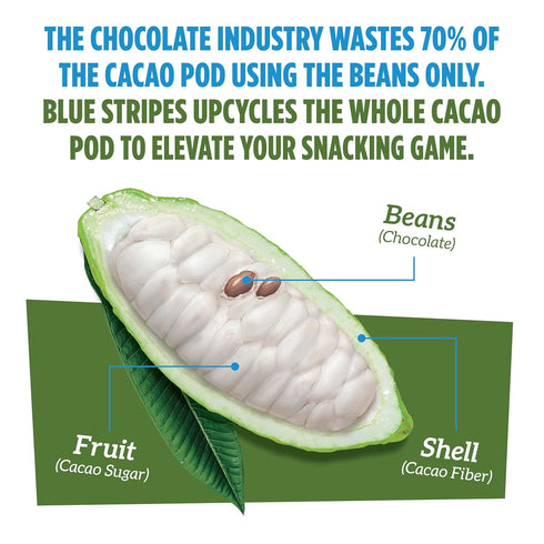 70% 5g 4 Pack Blue Stripes - Chocolate Covered Cacao Beans, Hazelnut Butter, Cacao, No Refined Sugar, Gluten Free