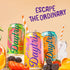 12-Pack Daytrip Organic Sparkling Prebiotic Soda, Low Sugar Soda and Low Calorie Healthy Soda Alternative, Prebiotic