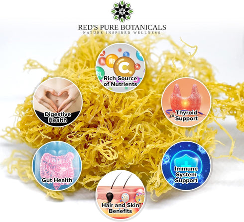 Wildcrafted Sea Moss - Healthy Irish Raw Sea Moss from St. Lucia, 4oz Dry Makes 60-80oz Seamoss Gel