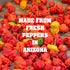 Habanero Pepper Spontaneous Combustion - Ultimate Pepper Gift - Try if you dare!
