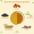 Immunity 100% 3.53oz/100g (Pack 2) TeaNOURISH Turmeric Ashwagandha Latte | Golden Milk Powder | Authentic Indian Remedy